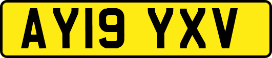 AY19YXV