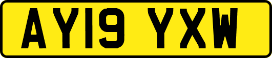 AY19YXW