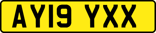 AY19YXX