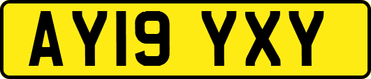 AY19YXY