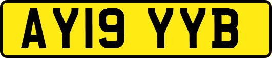 AY19YYB