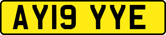 AY19YYE