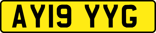 AY19YYG