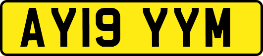AY19YYM