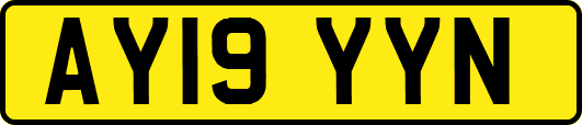 AY19YYN