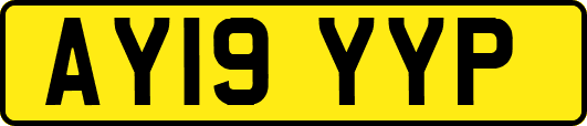 AY19YYP