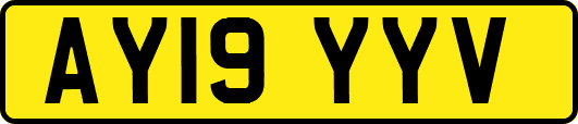AY19YYV