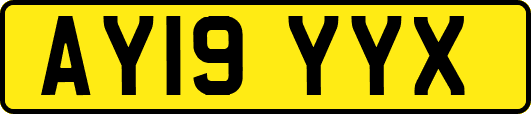 AY19YYX