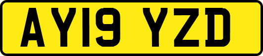 AY19YZD
