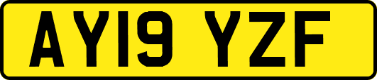 AY19YZF