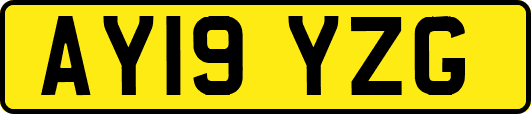AY19YZG