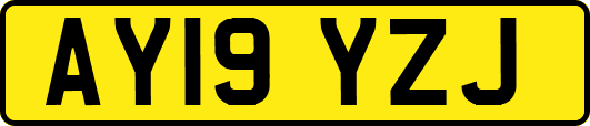 AY19YZJ