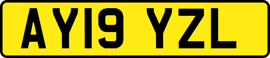 AY19YZL