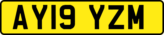AY19YZM