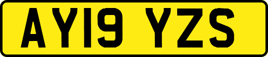 AY19YZS