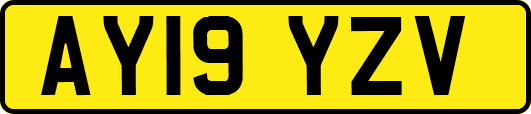 AY19YZV