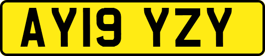 AY19YZY