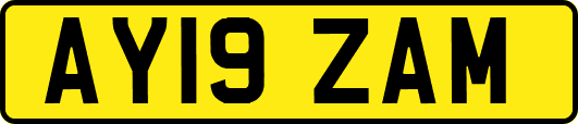 AY19ZAM