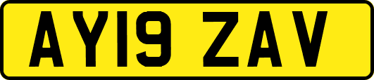 AY19ZAV