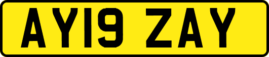 AY19ZAY
