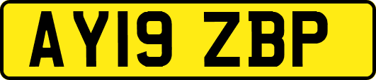 AY19ZBP