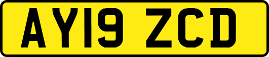 AY19ZCD