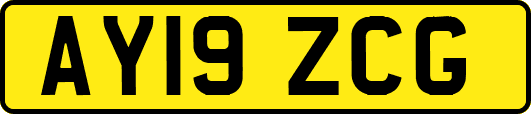 AY19ZCG