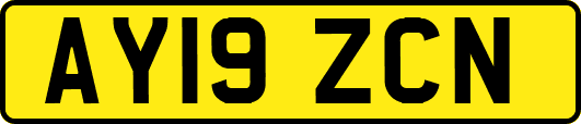 AY19ZCN