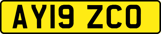 AY19ZCO