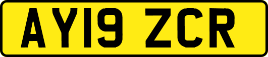 AY19ZCR