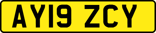 AY19ZCY