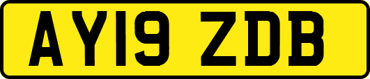 AY19ZDB