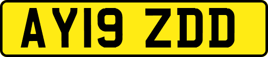 AY19ZDD