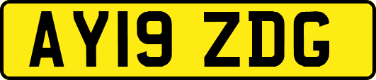 AY19ZDG