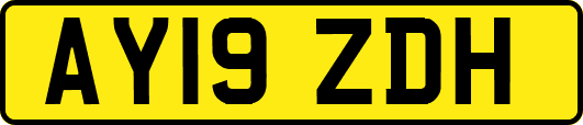AY19ZDH