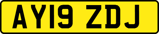 AY19ZDJ