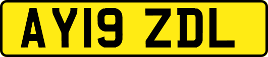 AY19ZDL