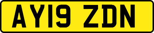AY19ZDN