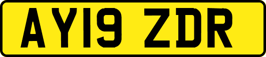 AY19ZDR