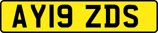 AY19ZDS