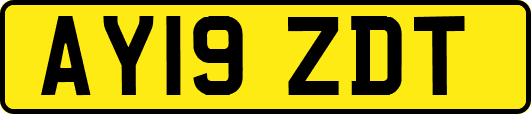 AY19ZDT