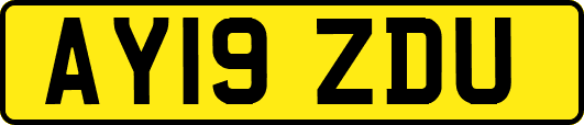 AY19ZDU