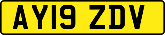 AY19ZDV