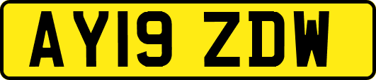 AY19ZDW