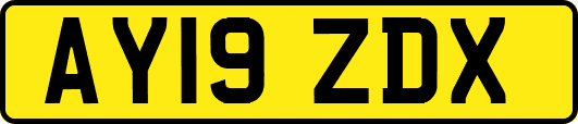 AY19ZDX