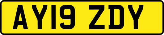 AY19ZDY