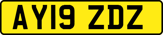 AY19ZDZ