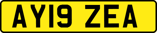 AY19ZEA