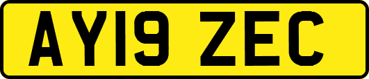 AY19ZEC