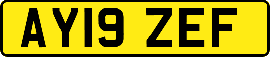 AY19ZEF
